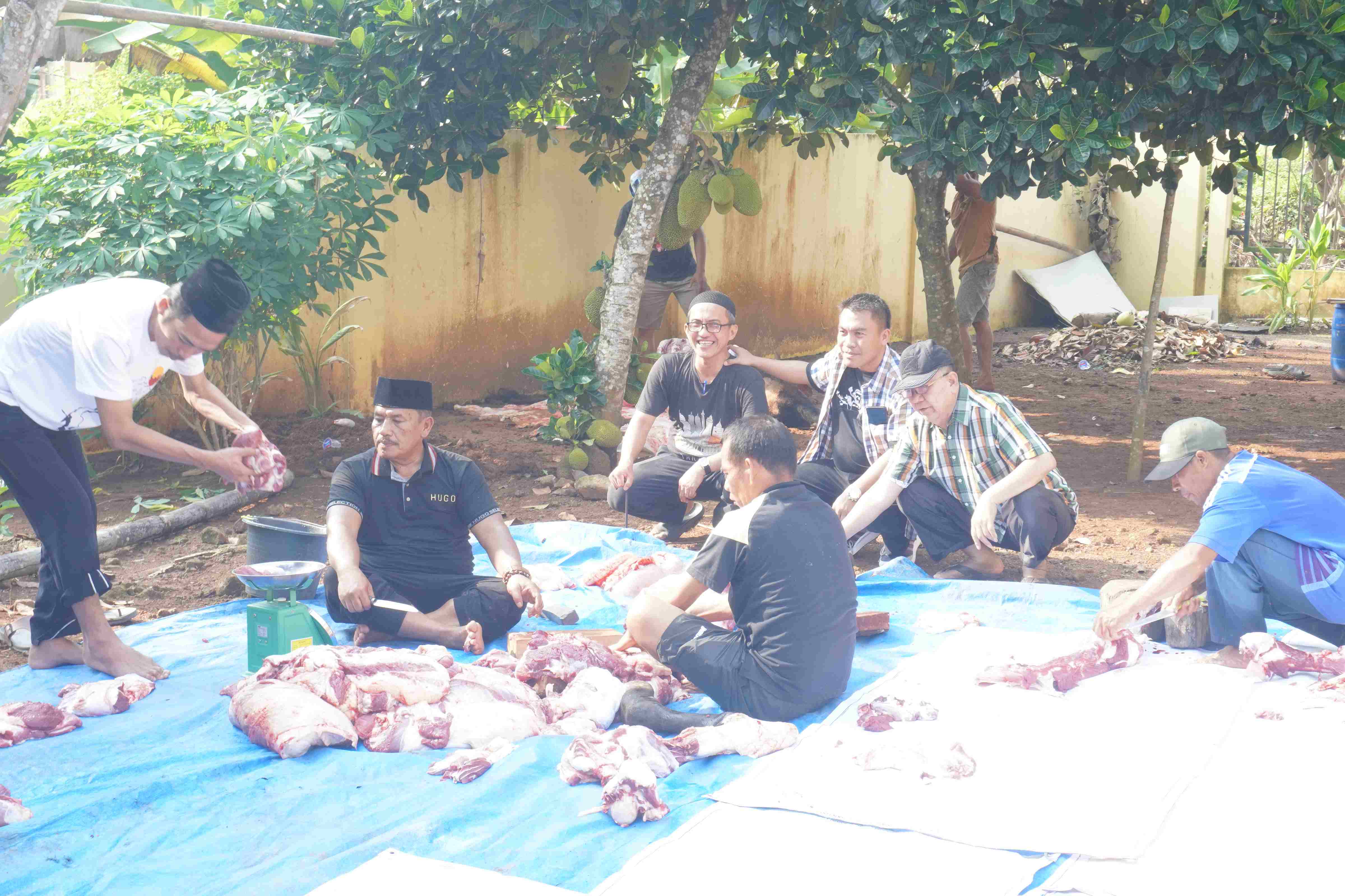 Pejabat dan ASN Kantor Kementerian Agama Kabupaten Pesawaran Laksanakan Pemotongan Qurban Berupa Dua Ekor Sapi