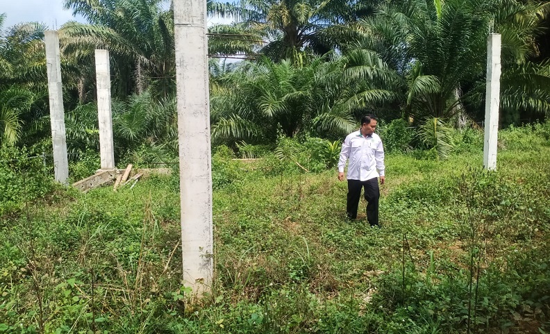 Tinjau Pembangunan Mushola di MAN 1 Way Kanan, Ketua Pelaksanan Pembangunan : Perlu Dukungan Semua Pihak