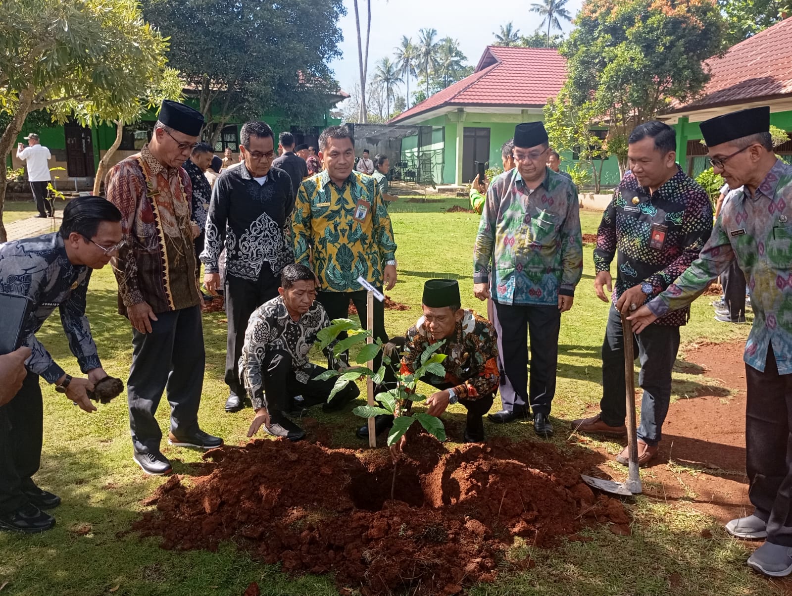 MAN 1 Pesawaran Garda Depan Program Nasional Penanaman 1000 Pohon Matoa di Kabupaten Pesawaran