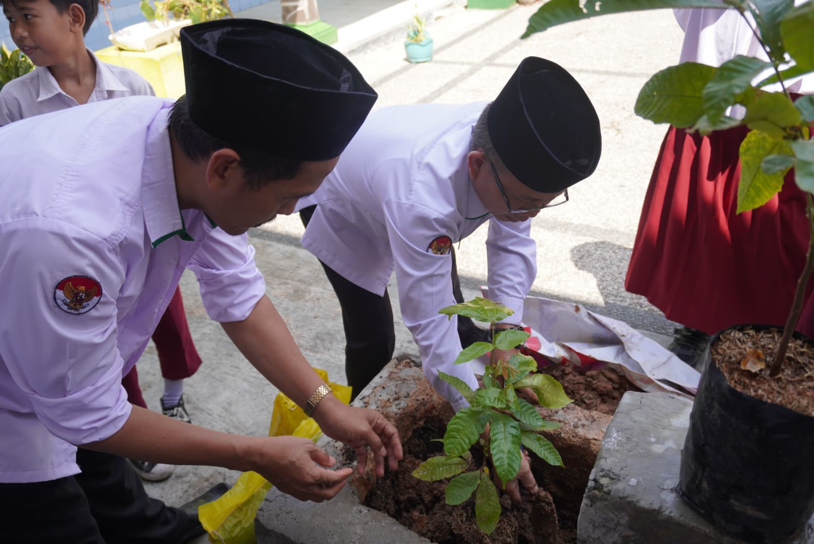 Gerakan Penanaman Satu Juta Pohon di MIN 1 Bandar Lampung Tahun 2025