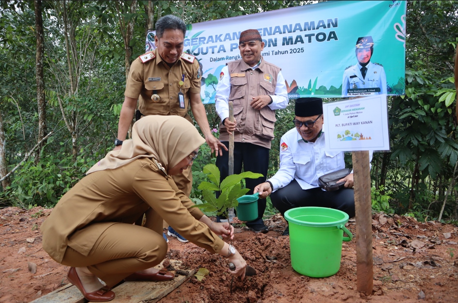 Pohon Matoa di Way Kanan: Lebih dari Sekadar Tanam, Ini Maknanya ?
