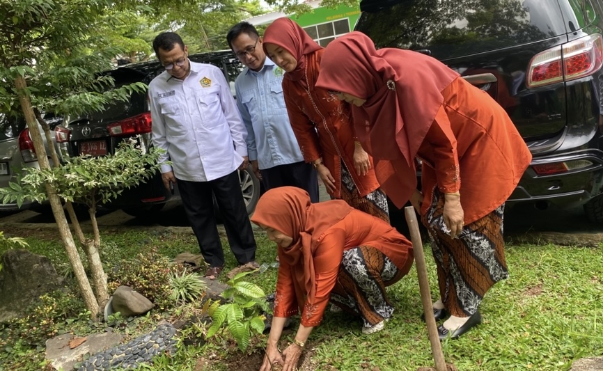 Dharma Wanita Kemenag Kota Bandar Lampung Ikut Berpartisipasi dalam Penanaman 1 Juta Pohon Matoa