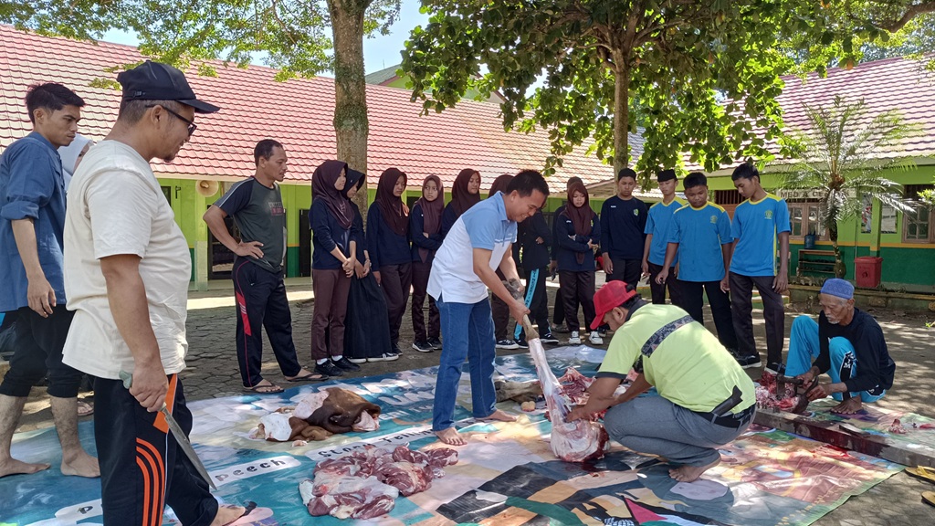 Satu Sapi, Seribu Makna: MTsN 1 Way Kanan Tebar Manfaat Kurban