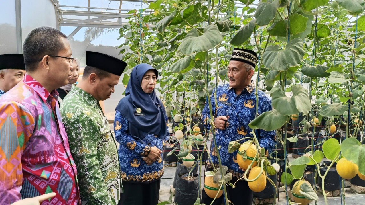 Kepala Kemenag Tubaba Hadiri Panen Raya Melon di MAN 1 Tulang Bawang Barat