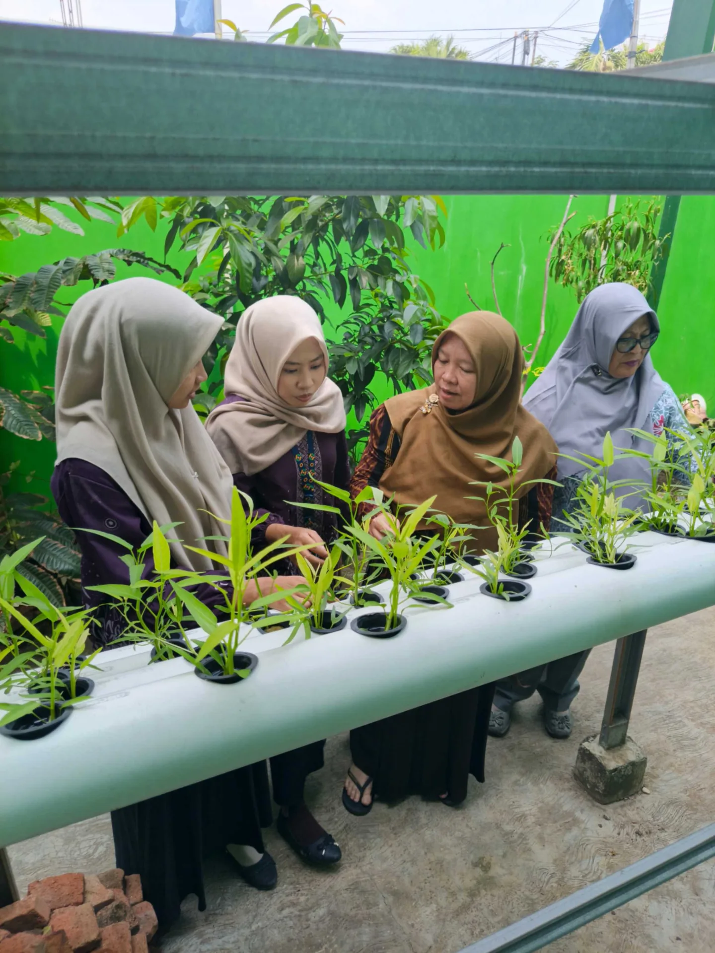 Program Hidroponik KKN-PPL Tematik Mengajar UIN RIL Dorong Kepedulian Lingkungan di MTsN 1 Bandar Lampung