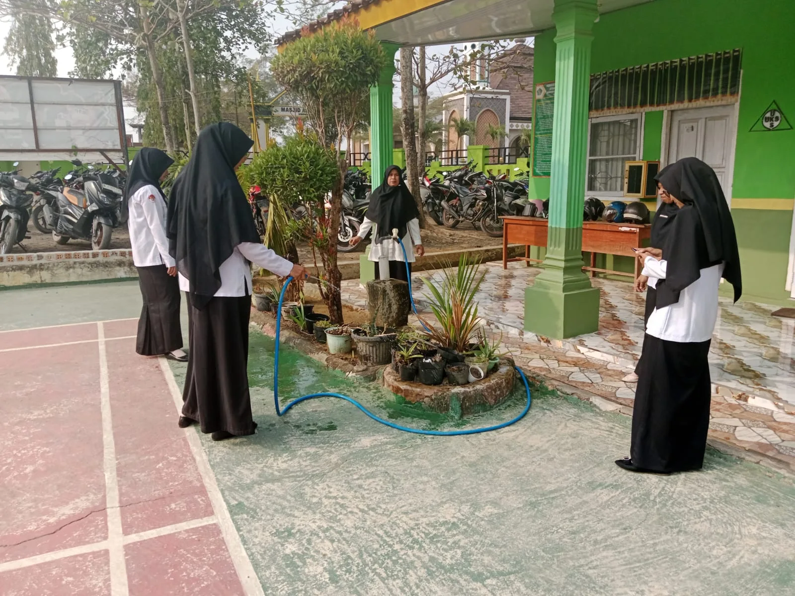 Antisipasi Dampak Kemarau Panjang, Jajaran Guru dan Siswa MAN 1 Mesuji Serentak Menyiram Tanaman dan Pohon